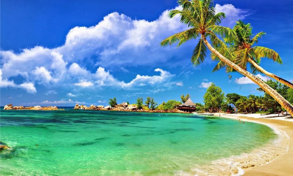 Andaman Tour 7Days 2